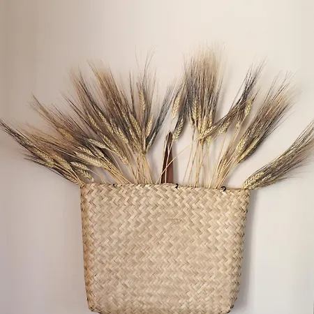 Daire Maistrali Ostria Parakopí